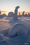 Forms of winter forest. Kuntivaara Forms of winter forest. Kuntivaara