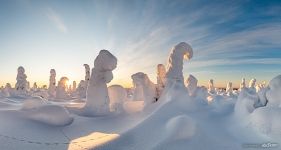 Panorama of a morning winter's tale