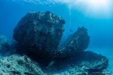 Coral reef Coral reef