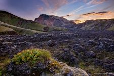 Lava fields