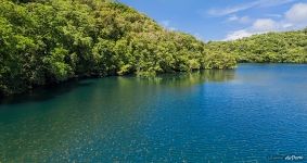 Jellyfish Lake