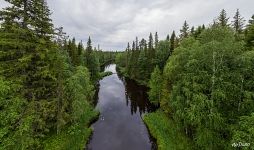 On the Novguda river