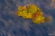 An island in Lake Onega An island in Lake Onega