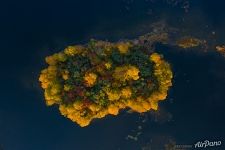 Island in Lake Onega Island in Lake Onega