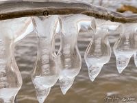 Icicles over the Danube Icicles over the Danube