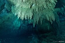 Chamber 3. Underwater Chamber 3. Underwater