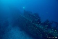 Shipwreck Shipwreck