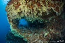 Fotteyo underwater overhangs (Hurahu Kandu) Fotteyo underwater overhangs (Hurahu Kandu)