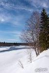 Pechora river, Shezhim-Pechorsky cordon 4 Pechora river, Shezhim-Pechorsky cordon 4