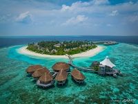 Maldives Islands #43