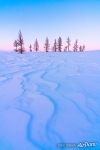 Landscapes of Polar Urals #2