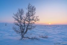 Landscapes of Polar Urals #4