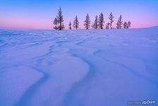 Landscapes of Polar Urals #1