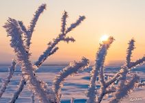 Landscapes of Polar Urals #5