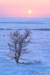 Landscapes of Polar Urals #3