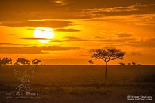 Sunset in Maasai Mara