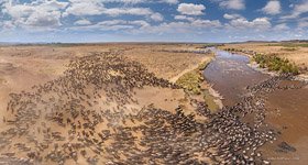 The Great Migration #6 The Great Migration #6