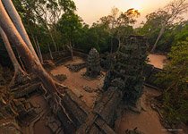 Ta Prohm temple #4