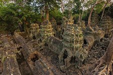 Ta Prohm temple #14