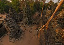 Ta Prohm temple #2