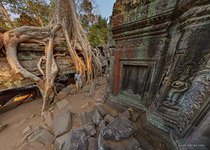 Ta Prohm temple #9