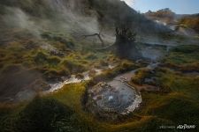 Valley of Geysers, Kamchatka #10