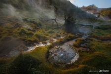 Valley of Geysers, Kamchatka #10