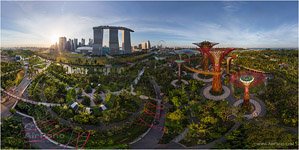 Supertree Grove (Gardens of the Bay), Singapore