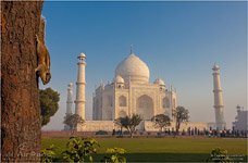 India, Taj Mahal #3