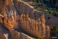 Bryce Canyon #20