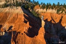 Bryce Canyon #16