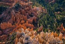 Bryce Canyon #19