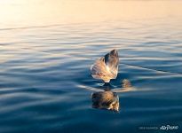 Ice on Baikal Lake