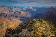 Grand Canyon #19