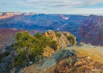 Grand Canyon #18