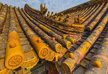 In the Forbidden City