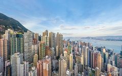 Hong Kong urban jungle
