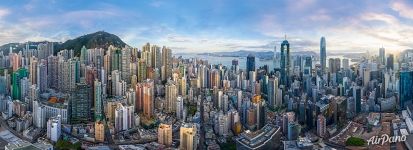 Hong Kong urban jungle
